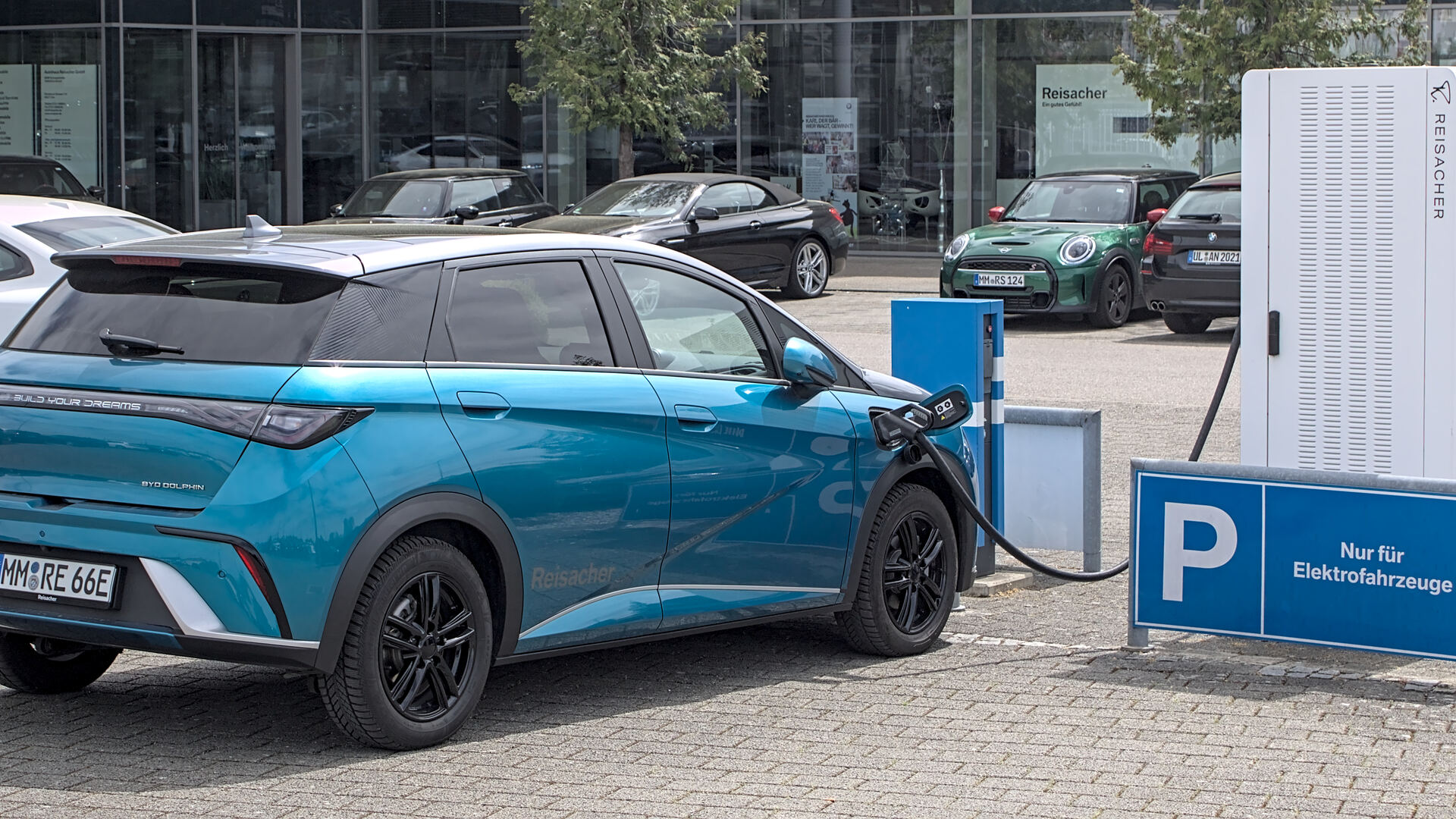 A BYD Dolphin electric vehicle, representing the Chinese EV import quota affecting the Quebec market.